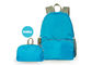 Voyage léger augmentant le sac à dos Packable pliable Daypacks durable 20L fournisseur