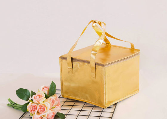 Sac thermique adapté aux besoins du client de refroidisseur de logo, sac isolé de déjeuner avec le matériel non tissé de conteneurs